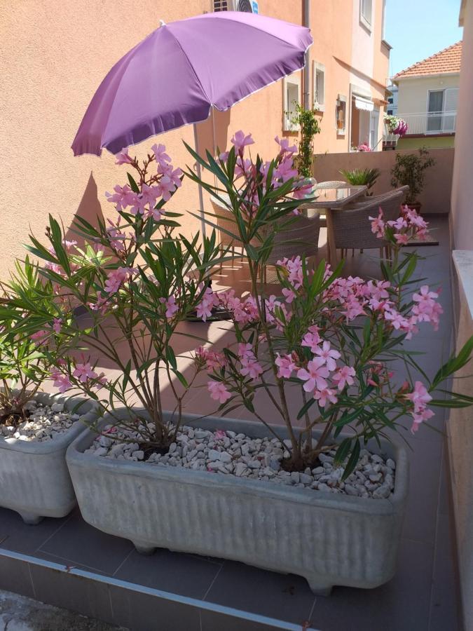 Apartment Yelena Rose West زادار المظهر الخارجي الصورة