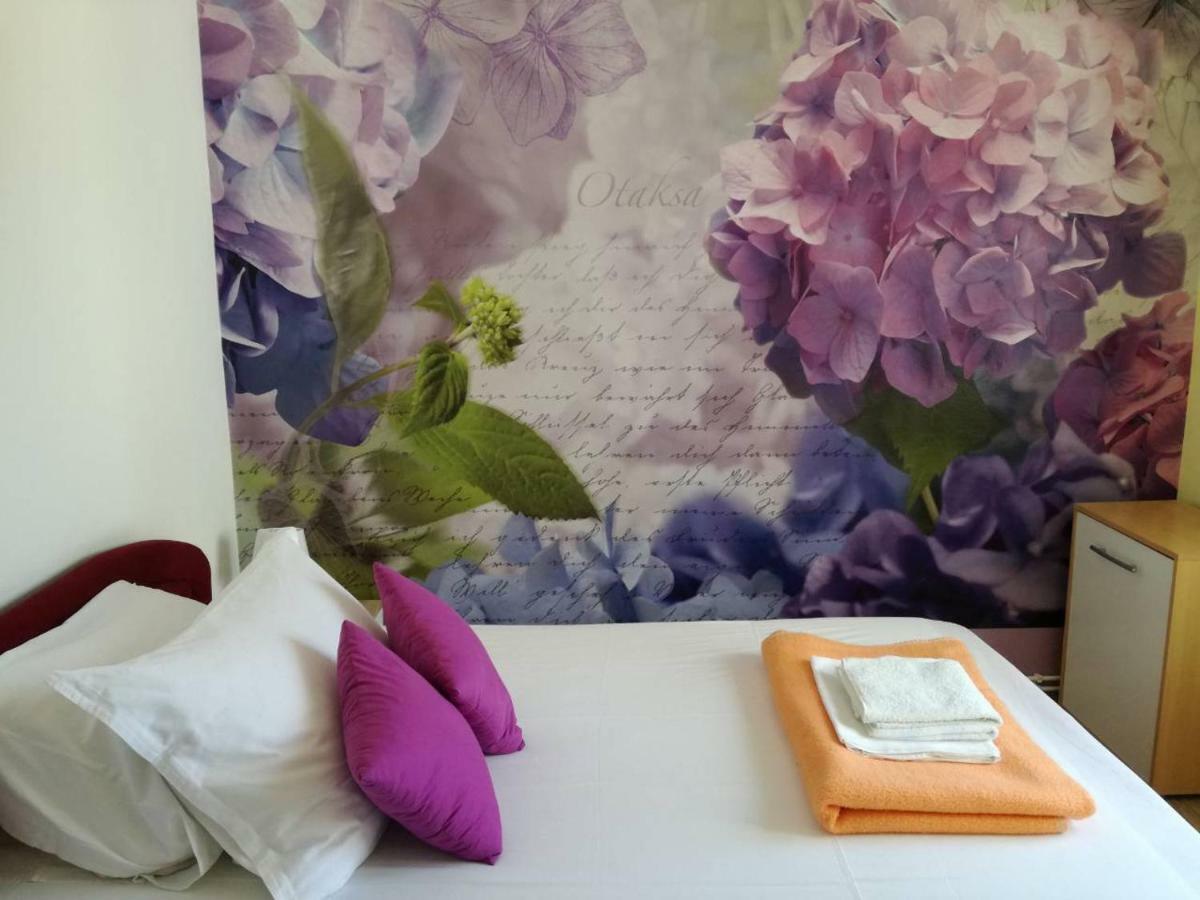 Apartment Yelena Rose West زادار المظهر الخارجي الصورة