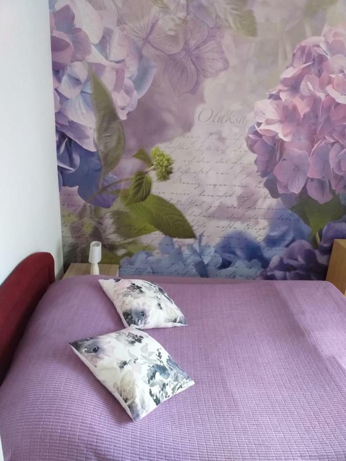 Apartment Yelena Rose West زادار المظهر الخارجي الصورة