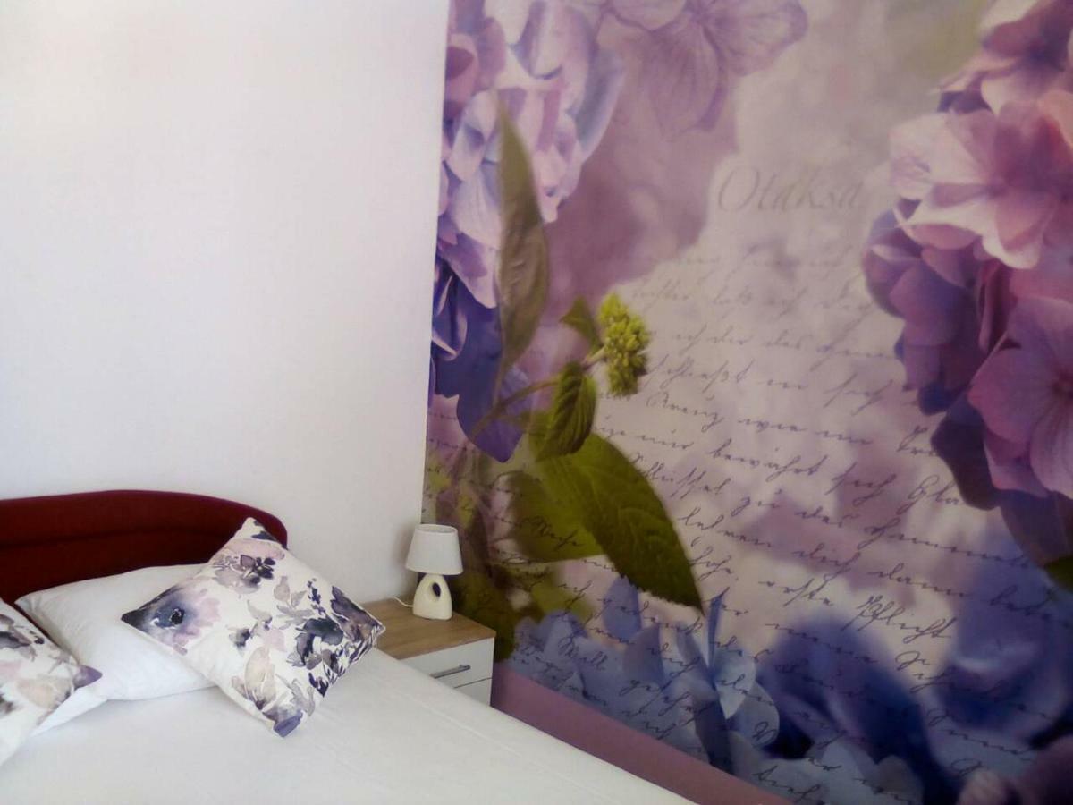 Apartment Yelena Rose West زادار المظهر الخارجي الصورة